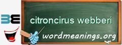 WordMeaning blackboard for citroncirus webberi